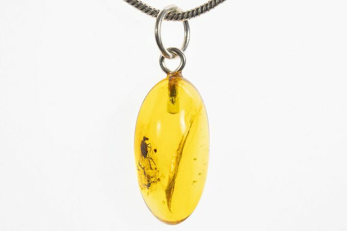 Polished Baltic Amber Pendant (Necklace) - Contains Fly! #328544